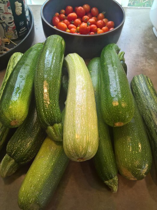 Färsk skörd av gröna zucchini och en gul squash framför en skål med röda tomater på en köksbänk.