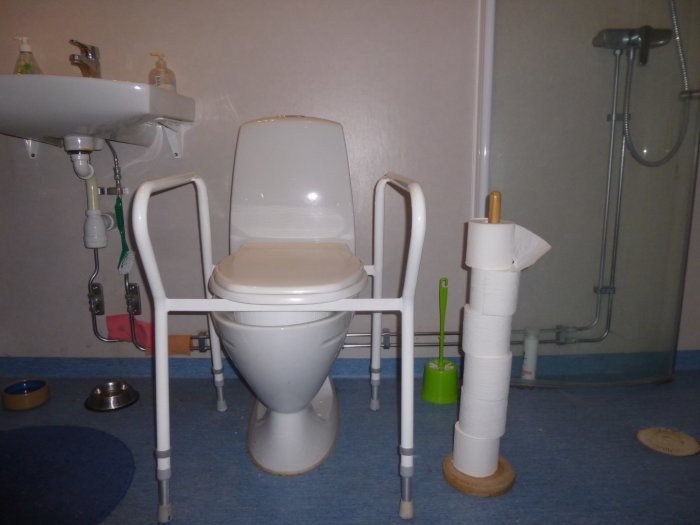Toalett med handikappanpassad sits och stödhandtag, samt en hög med rullar toalettpapper på ställning.