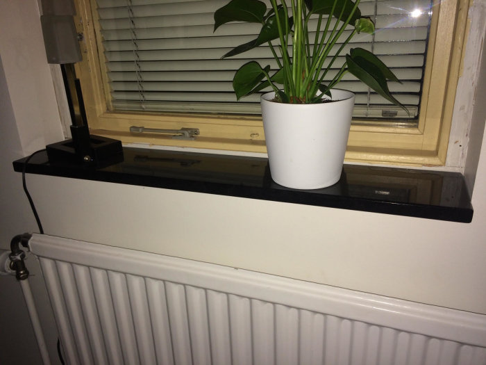 Vit radiator med termostat under ett fönster, inrett med svart hylla och grön växt i vit kruka.