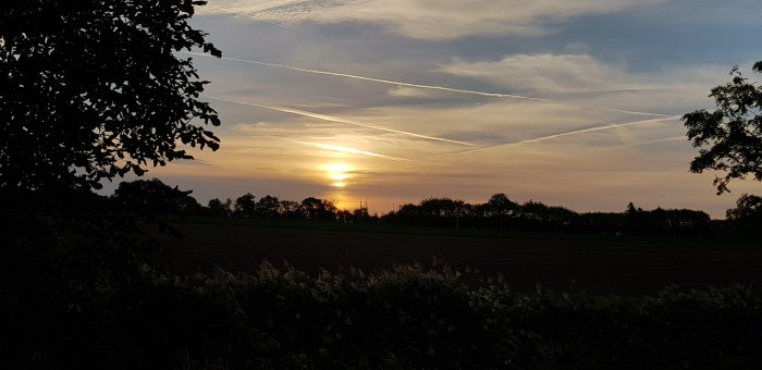 Solnedgång över ett landskap med åkermark och träd silhuetter, markerar början på föräldraledigheten.
