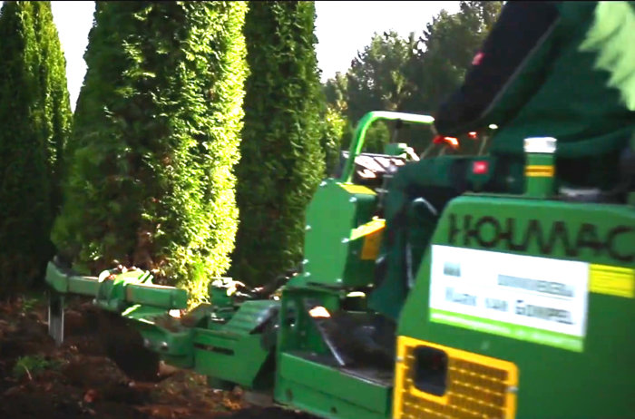 Grön maskin med grip som flyttar en thujaplanta i en trädgård.