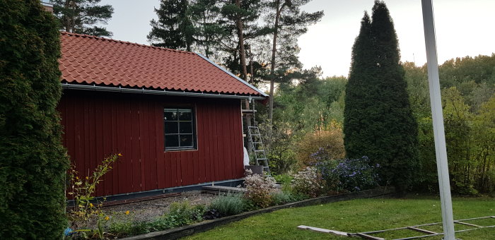 Rödfärgat hus med ny panel och stege, omgivet av gröna träd och trädgård i skymningen.