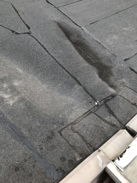 Skadad takpapp med flera tydliga skarvar och sprickor på ett lutande tak, med vattensamling nertill.