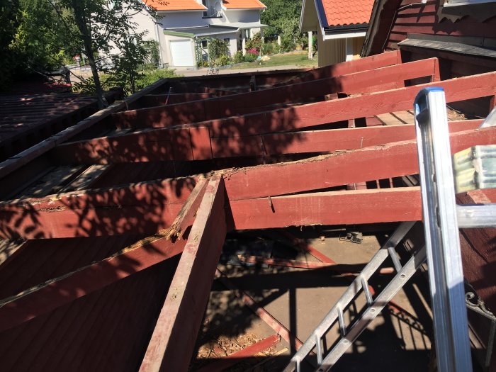 Renoveringsprojekt av ett carporttak med borttagna takplattor och exponerade takstolar, samt en stege till vänster.