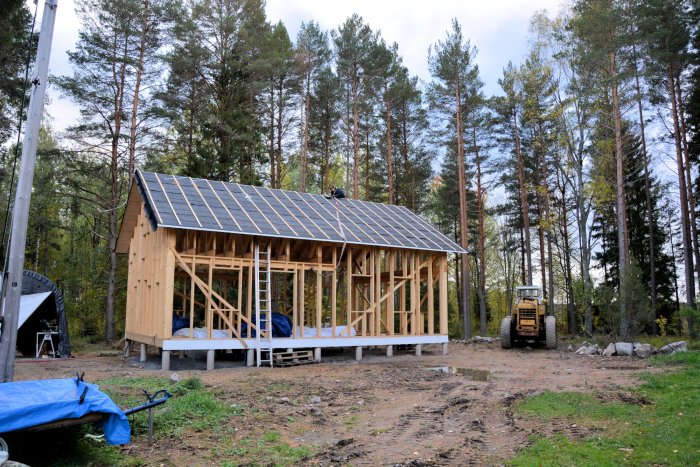 Nyuppbyggt hus med tätt tak av papp, redo för vintern, omgivet av skog.