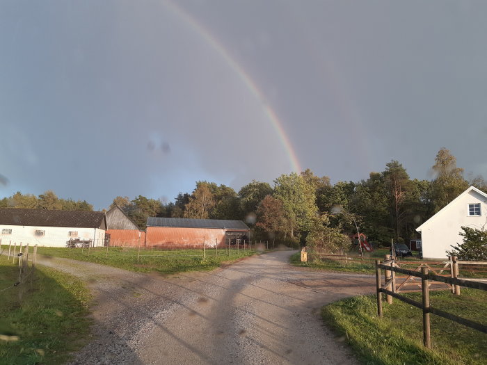 Regnbåge över lantlig väg med bondgård och grön vegetation under soluppgång eller solnedgång.