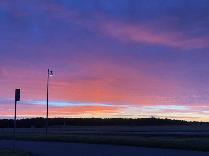 Morgonhimmel med rika nyanser av rosa och lila över ett landskap med gatlyktor och träd siluett.