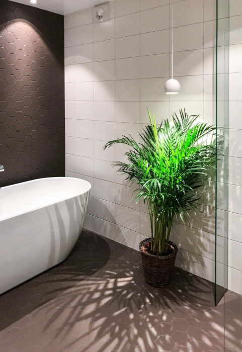 Modernt badrum med vit fristående badkar, hexagonala kakel, pendellampa, växt och spotlights.