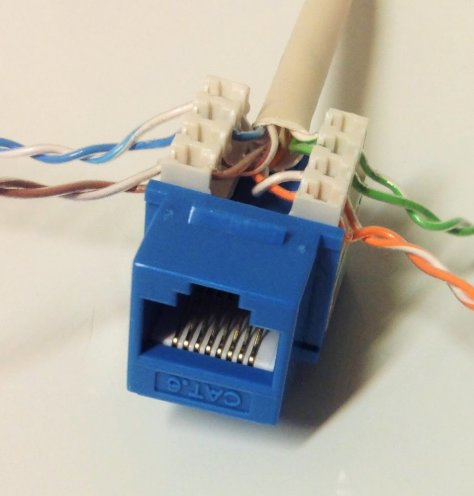 Ethernetkabel oskalad ansluten till en blå RJ45 keystone jack.