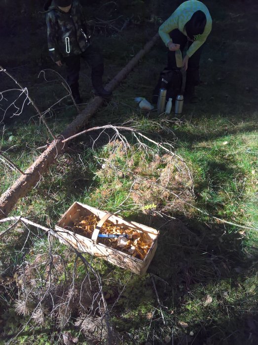 Personer packar ihop fikagrejer efter svampplockning i skogen, nära en korg full med svamp.