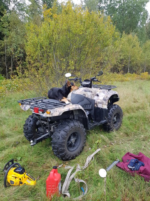 Hund sitter på en kamouflerad fyrhjuling bredvid en motorsåg och röd bränsledunk i naturen.