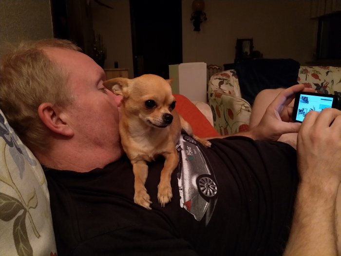 Man liggandes på soffa med chihuahua på bröstet medan han ser på mobil.