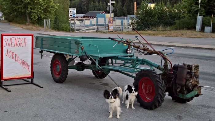 En grön IRUS U1200K traktor med släp parkerad vid en vägkant, med två små hundar framför samt en skylt för svenska jordgubbar.