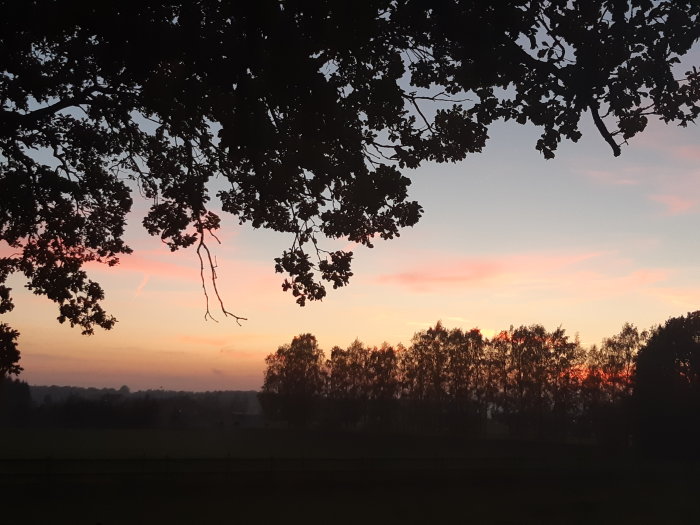 Solnedgång med silhuetter av träd och färggrann himmel som speglar avslappnat liv på landet.