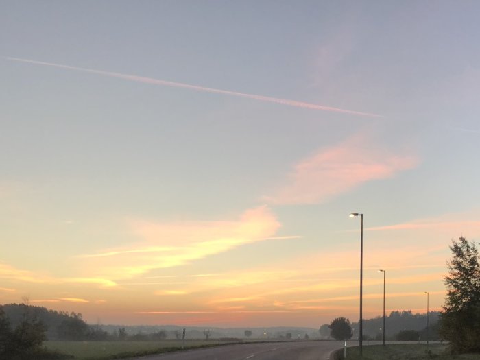 Morgonhimmel i pastelltoner med gatlyktor längs en väg och konturer av träd.