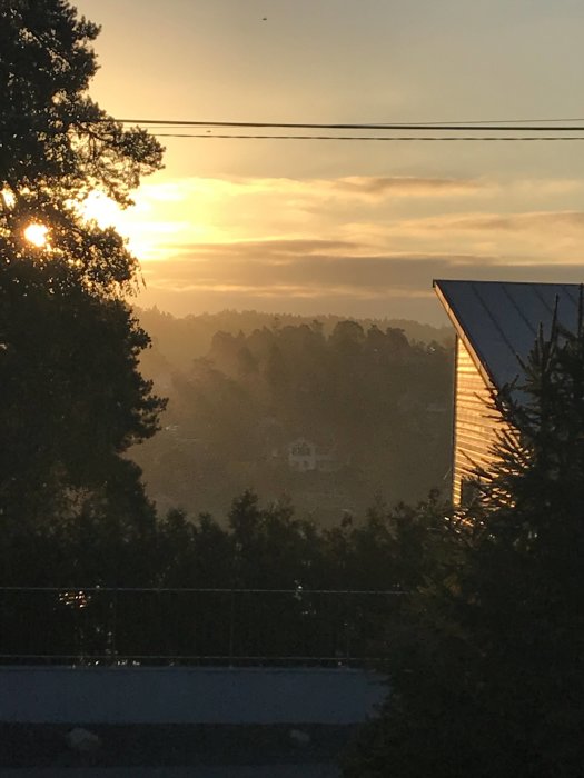 Soluppgång med silhuetter av träd och hus, dimma, sett från en balkong.