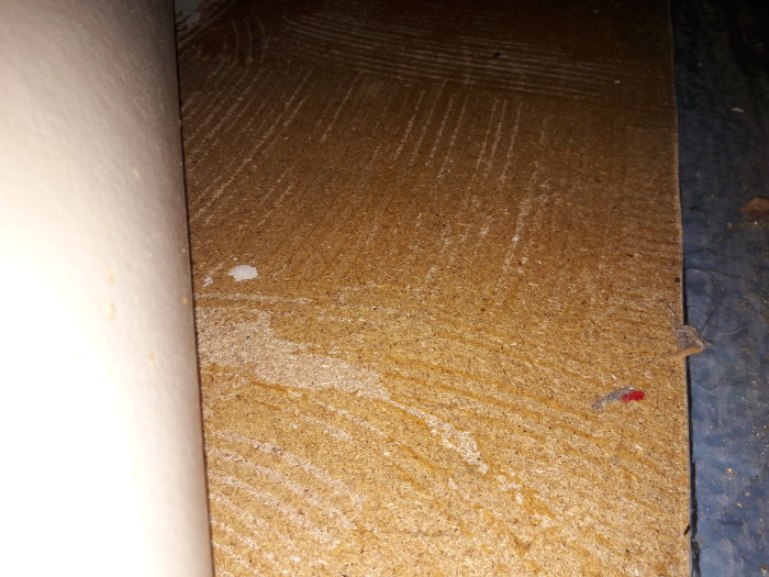 20181012_100144.jpg