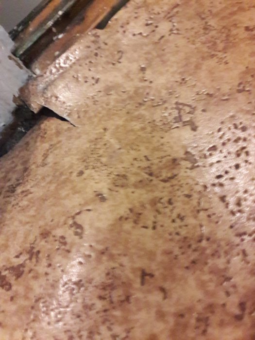 20181012_125641.jpg