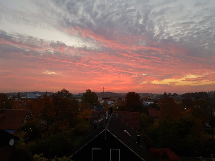 Utsikt från ett fönster vid gryning med rosa och orange moln över en stad med hus och träd.