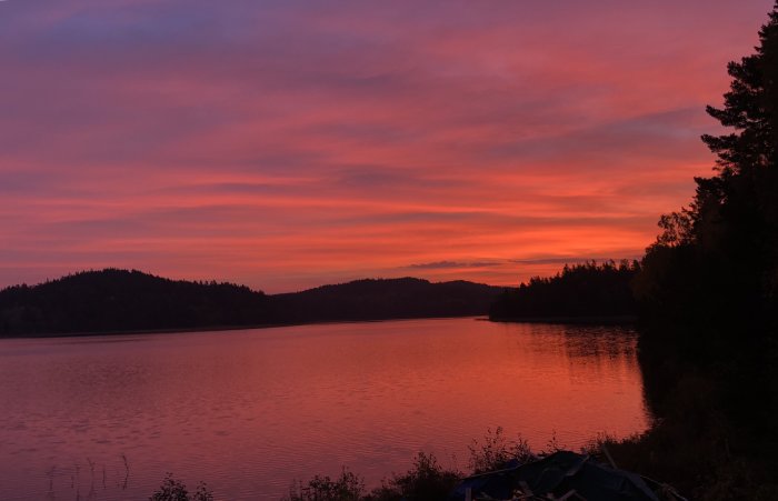 En dramatisk gryning med himmel i nyanser av rosa och orange över en stilla sjö och silhuetter av träd.