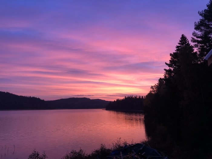 Rosa och lila gryningshimmel över en stilla sjö med siluetter av träd och berg.