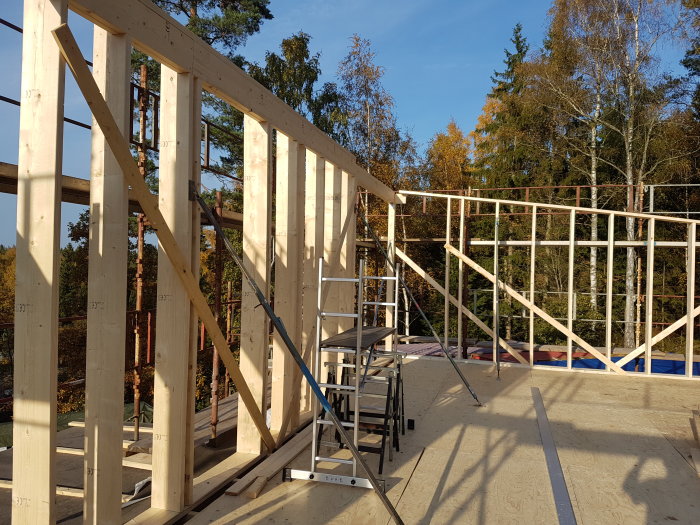 Stomme av nybygge med tre upprättade och riktade träväggar, väggstämp, limträbalk över fönster och tjock pelare i hörn, mot skogsbakgrund.