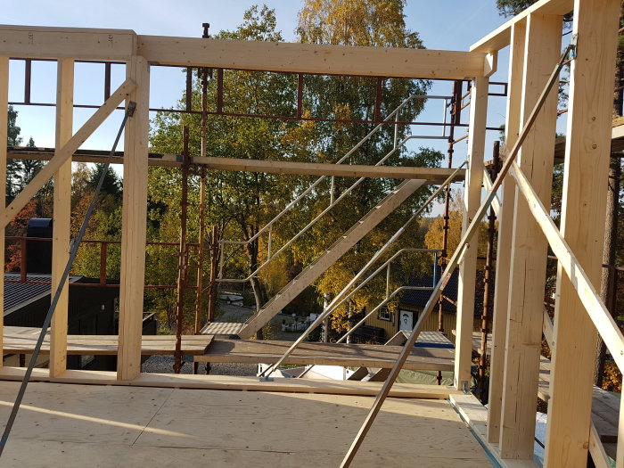 Nybyggt trätehusstomme med limträbalk, pelare, byggställning och björkar i bakgrunden.