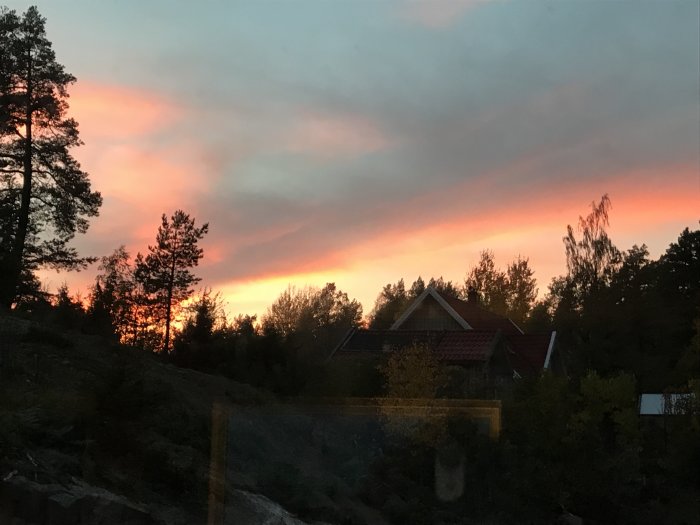 Solnedgång med rosa och blå himmel över silhuetten av träd och ett hus.