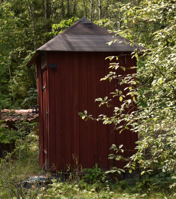 Röd utedassbyggnad omgiven av grönska under dagtid innan renovering med nytt fönster och återanvänt virke.