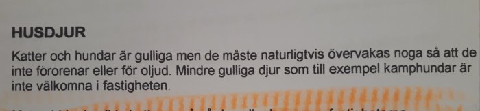 Sektion i dokument med rubriken "HUSDJUR" som beskriver regler för husdjur, särskilt katter och hundar.