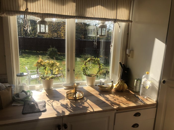 Soligt köksfönster med husväxter, frukt och diskmedel, utsikt över en trädgård.