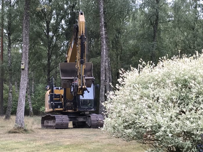 Grävmaskin i skogsglänta vid grävarbete, kallad "Bamse" av grannen Mats som hjälper till.