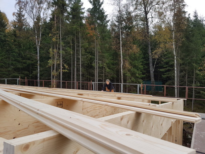 Takstolar med nylagd råspont och extra regelverk för vindpapp och panel med skogen i bakgrunden.