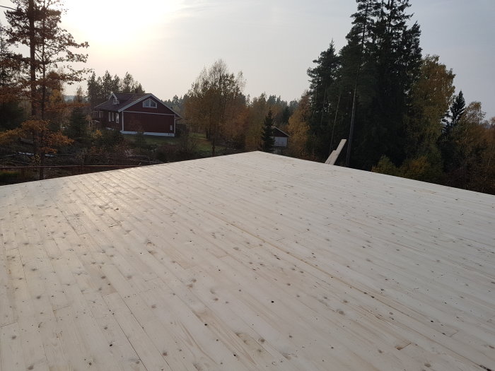Råspont av trä täcker ett tak under konstruktion med skog och ett rött hus i bakgrunden.