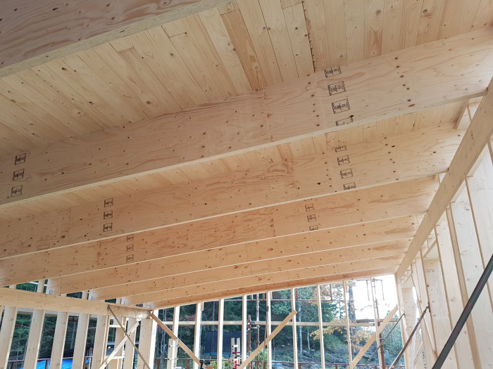 Råspont på taket med extra reglar mellan balkarna, insektsnät och luftspalt syns längst upp.