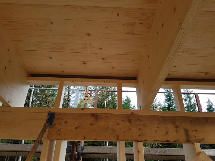 Tak med råspont och reglade balkar där vindpapp och panel ska fästas, med insektsnät synligt.