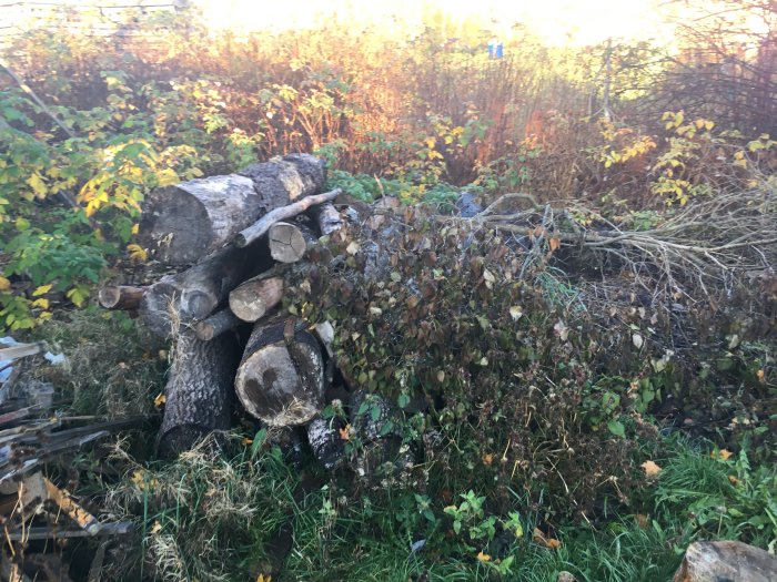 Hög med blandad ved inklusive färdigkluvna bitar och 2m stockar i utomhusmiljö.