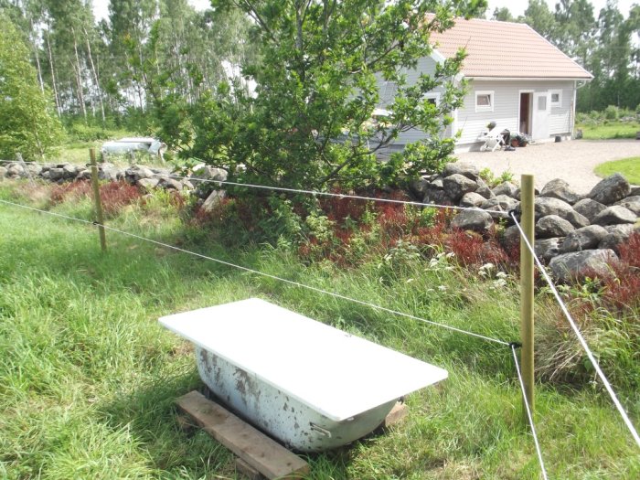 Ett gammalt badkar utomhus på gräsmattan med en skog och en byggnad i bakgrunden.