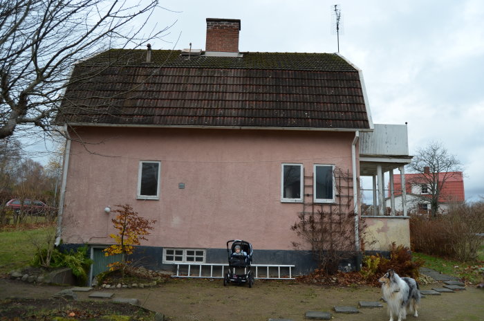 Tvåvåningshus med rosa putsfasad, mossa på taken, barnvagn framtill och hund på gården.