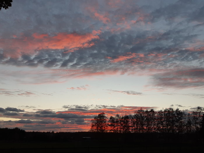 Dramatisk himmel med röda och orange nyanser vid solnedgången över ett landskap med träd silhuetter.