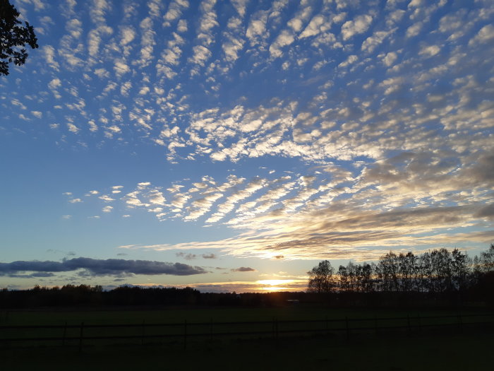 Himmel med spridda moln och solnedgång över en äng med silhuett av träd.