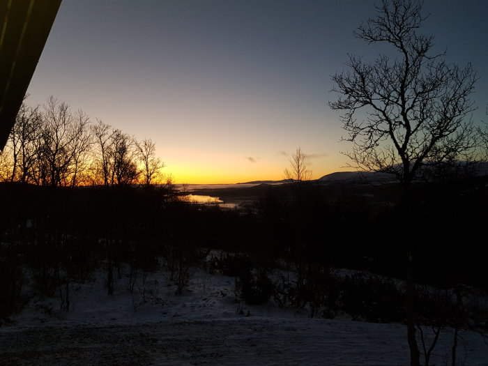 Vintersolnedgång med snötäckta träd och mark, mot en klar himmel över en frusen sjö.