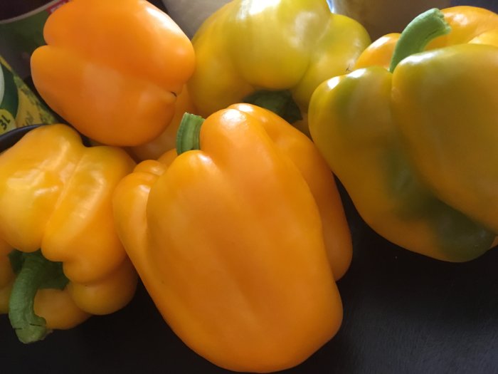 Färska gula paprikor på nära håll med gröna stjälkar, misstag för chilis i odling.