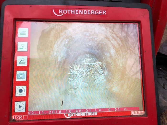 Rötter.jpg