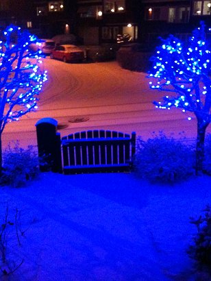 Snöklädd trädgård med blå och vita julbelysningar på träd, nära ett staket och en snötäckt gata i bakgrunden.