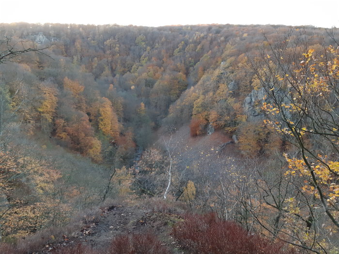 Höstvy över Skäralid med färgglada lövträd i Söderåsens nationalpark.