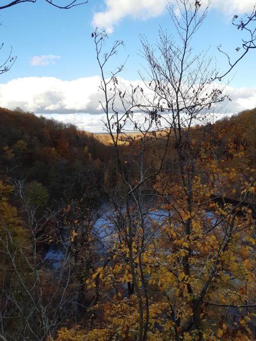 Höstvy över Odensjön omgärdat av gula och gröna boklöv i Söderåsens nationalpark.
