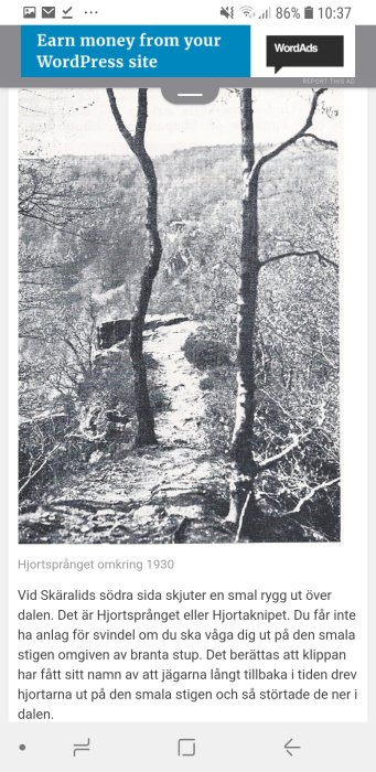 Svartvit bild från 1930-talet av Hjortsprånget med två framträdande träd i Söderåsen landskap.