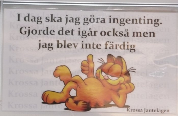 Tecknad orange katt som ligger på rygg och visar tummen upp, med texten "I dag ska jag göra ingenting. Gjorde det igår också men jag blev inte färdig".