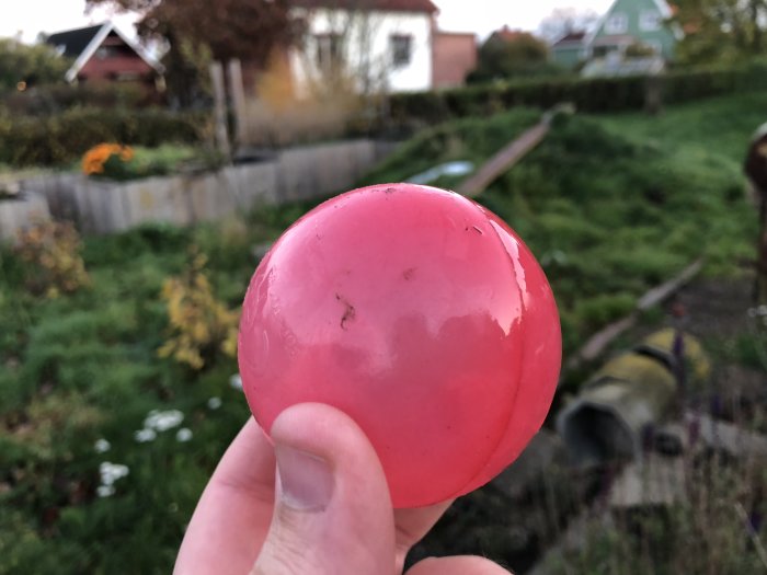 Rosa plastboll hållen framför en suddig trädgård.